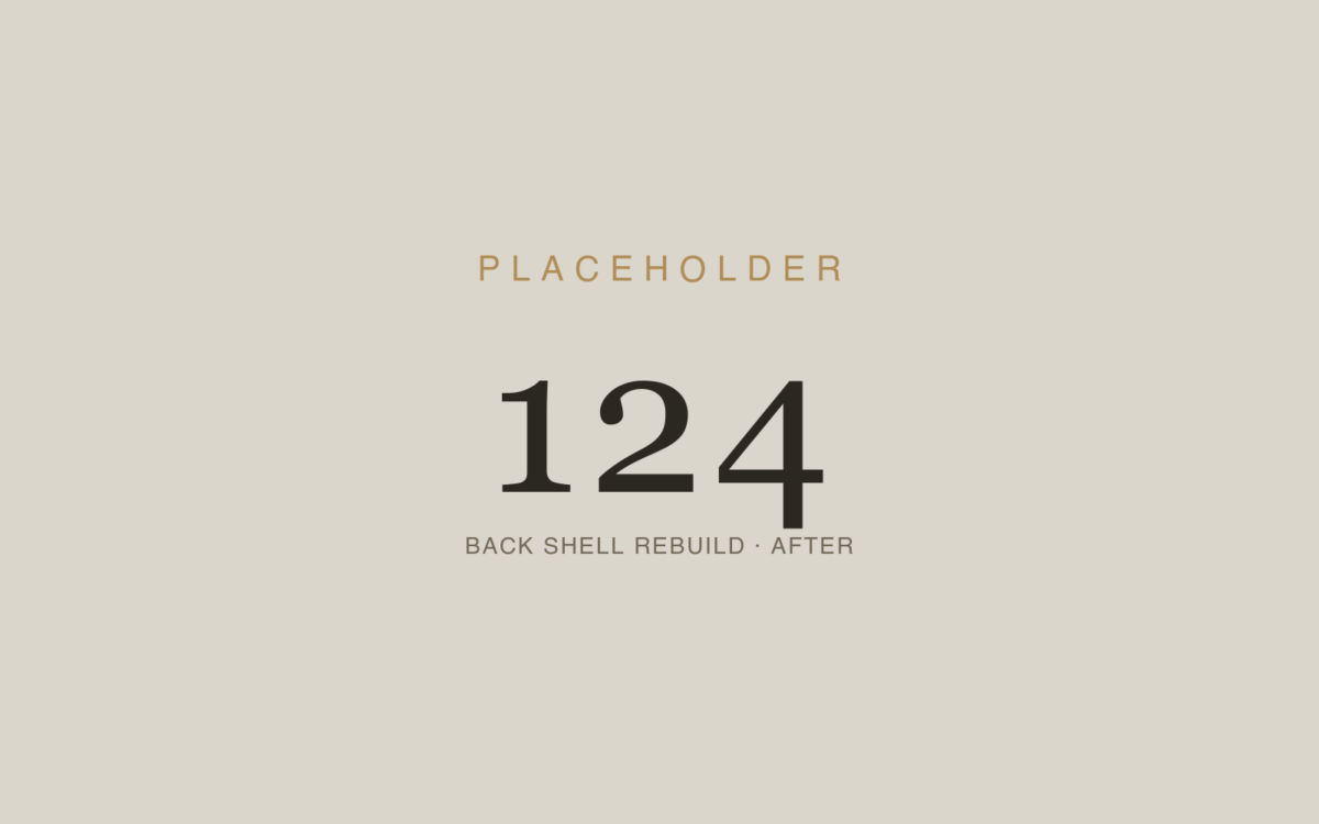 Lower Back Shell Reconstruction
