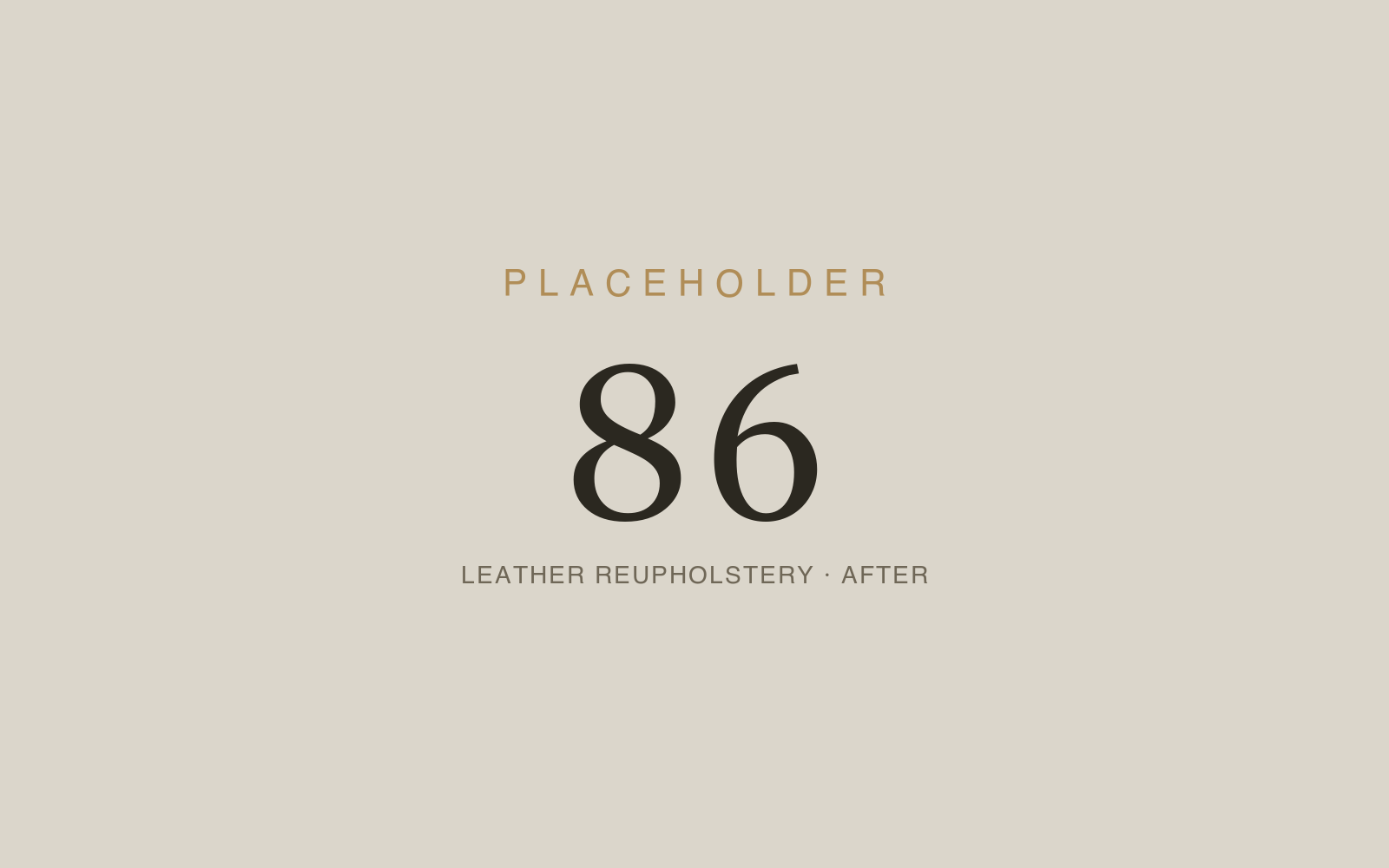 Leather Reupholstery & Detail Work